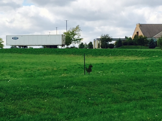 trucking companies cedar rapids ia